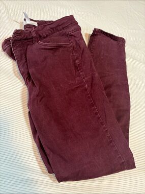 Loft - Cozy Velvet Pants in Deep Wine